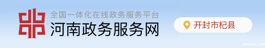 河南政务服务网
